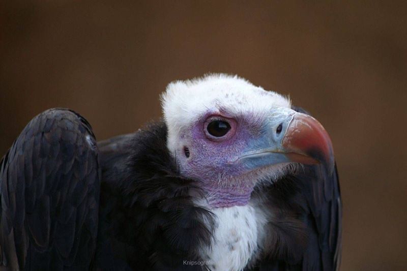 harry_2007_weekend_elsass_029