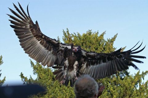 harry_2007_weekend_elsass_034
