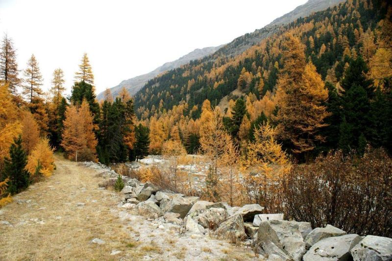 harry_2008_weekend_engadin_011