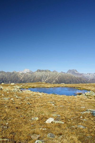 harry_2008_weekend_engadin_015