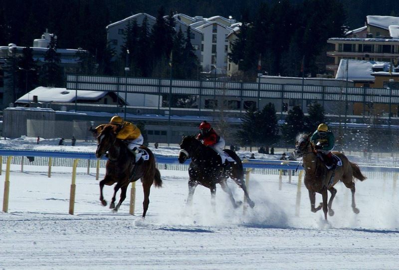 harry_2008_whiteturf_005