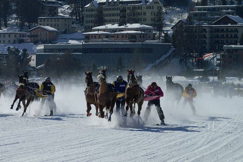 harry_2008_whiteturf_008