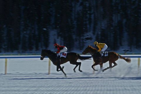 harry_2008_whiteturf_004