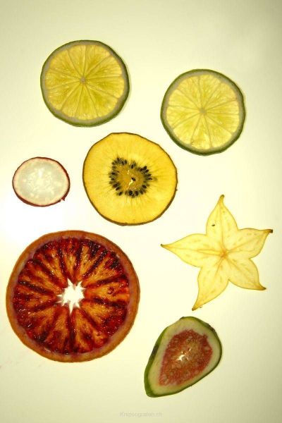 harry_2009_fruechte_012