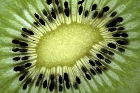 harry_2009_fruechte_003