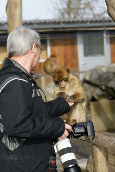 harry_2010_tonis_zoo_023