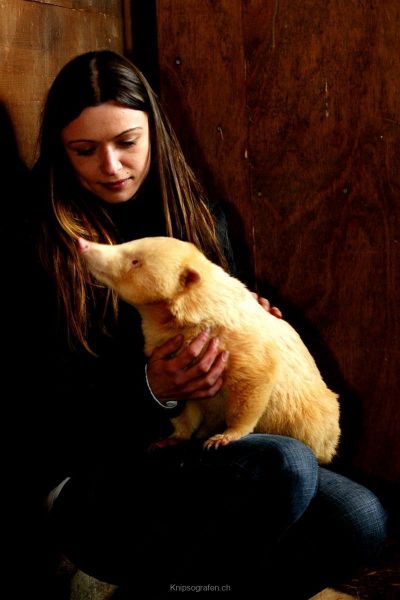 harry_2010_tonis_zoo_030