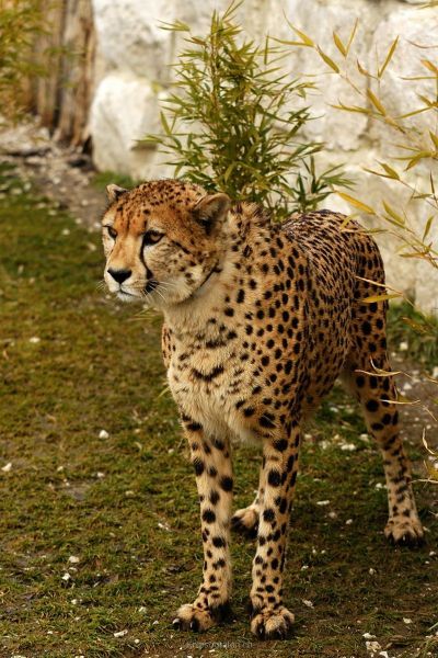 harry_2010_tonis_zoo_043