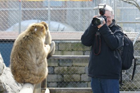 harry_2010_tonis_zoo_016