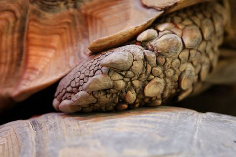 harry_2010_tonis_zoo_048