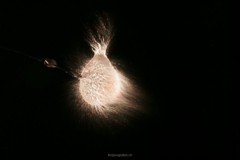harry_2012_ballonshooting_004