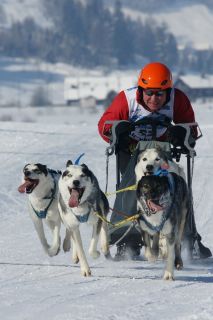 harry_2012_hundeschlitten-rennen_003