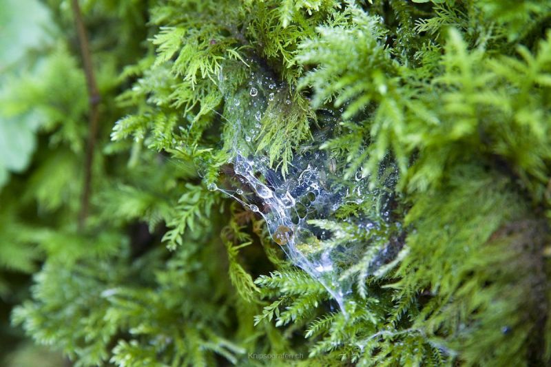 harry_2013_weekend_westschweiz_030