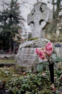 harry_2014_friedhof_meggen_009
