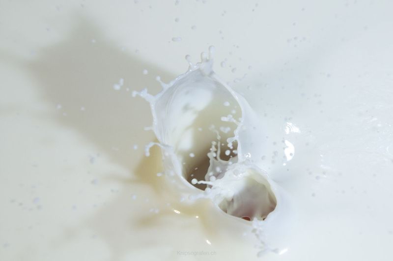 harry_2014_wasserfruechte_007
