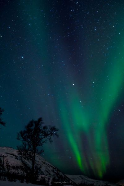 harry_2015_nordlicht-woche-tromso_018