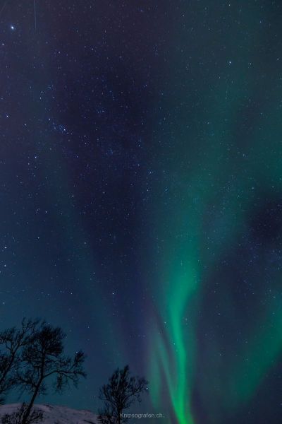 harry_2015_nordlicht-woche-tromso_019
