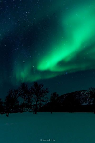 harry_2015_nordlicht-woche-tromso_025