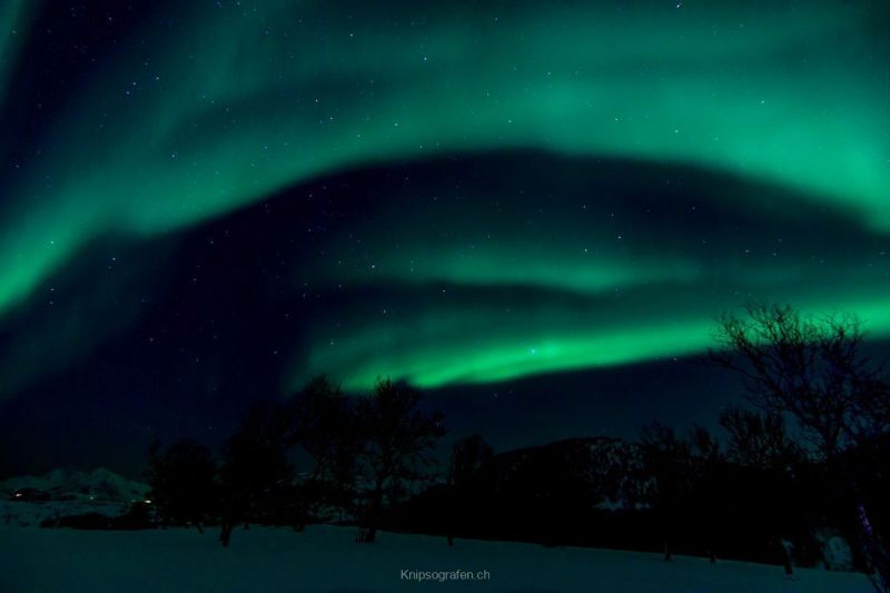 harry_2015_nordlicht-woche-tromso_027