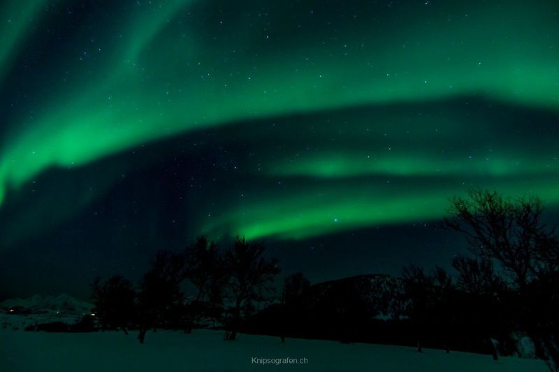 harry_2015_nordlicht-woche-tromso_028
