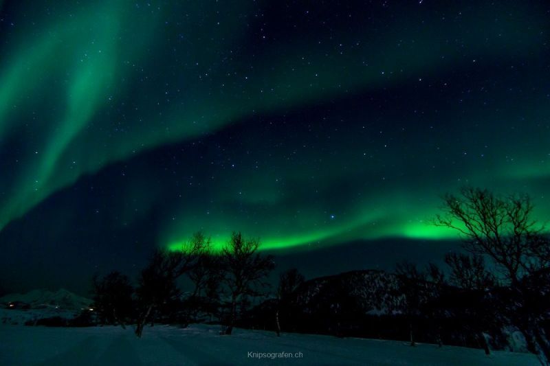 harry_2015_nordlicht-woche-tromso_031