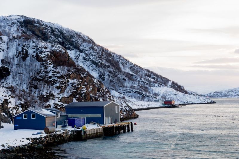 harry_2015_nordlicht-woche-tromso_068
