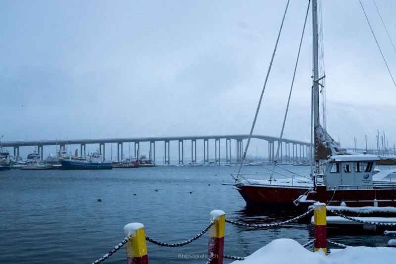 harry_2015_nordlicht-woche-tromso_096