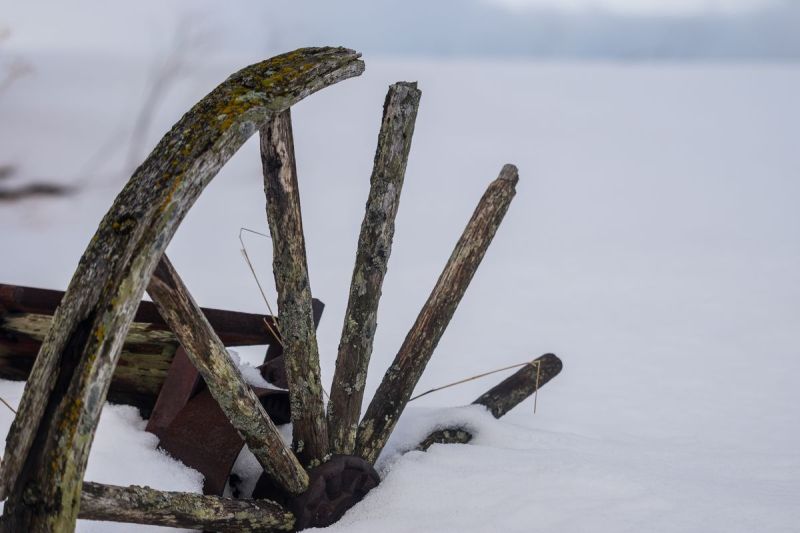 harry_2015_nordlicht-woche-tromso_108