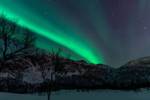 harry_2015_nordlicht-woche-tromso_024