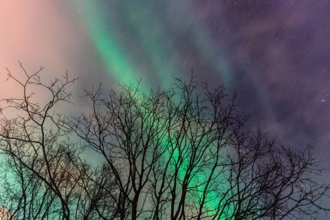harry_2015_nordlicht-woche-tromso_089
