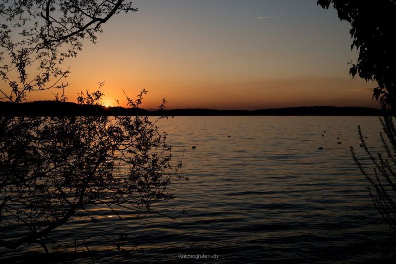 harry_2015_sonnenuntergang_sempachersee_001