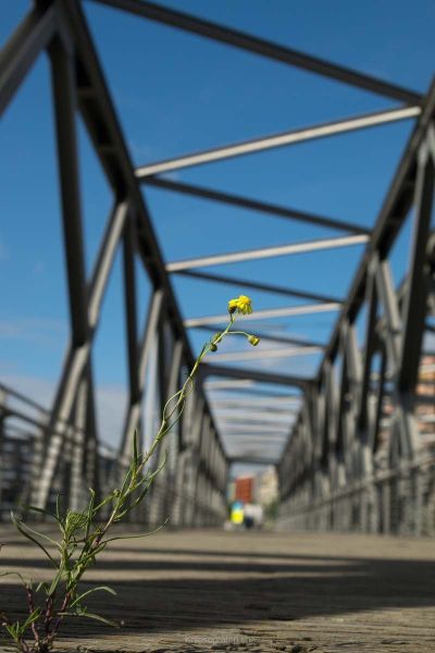 harry_2018_weekend_hamburg_021