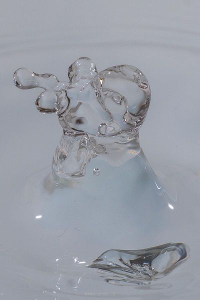 harry_2019_wasser-fruechte-tropfen_007