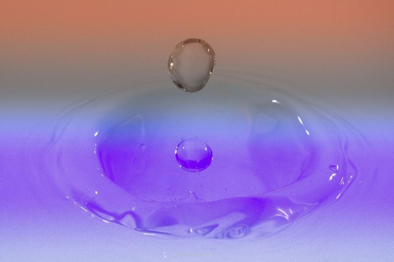 harry_2019_wasser-fruechte-tropfen_008