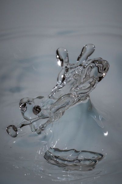 harry_2019_wasser-fruechte-tropfen_009