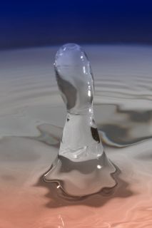 harry_2019_wasser-fruechte-tropfen_005