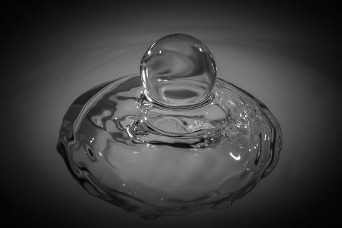 harry_2019_wasser-fruechte-tropfen_006