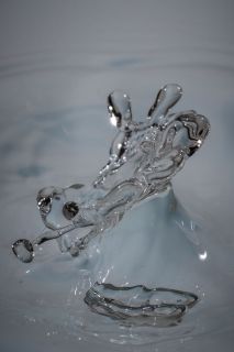 harry_2019_wasser-fruechte-tropfen_009