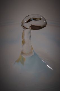 harry_2019_wasser-fruechte-tropfen_010
