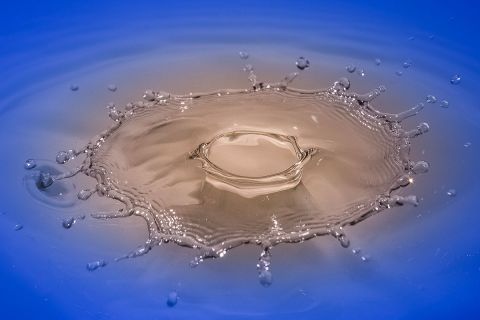 harry_2019_wasser-fruechte-tropfen_013