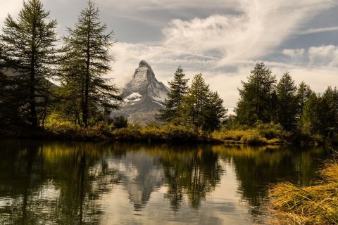 harry_2019_weekend-wallis_018