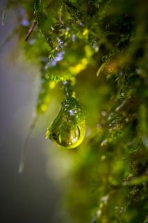 harry_2020_weekend_jura_001