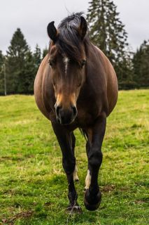 harry_2020_weekend_jura_006