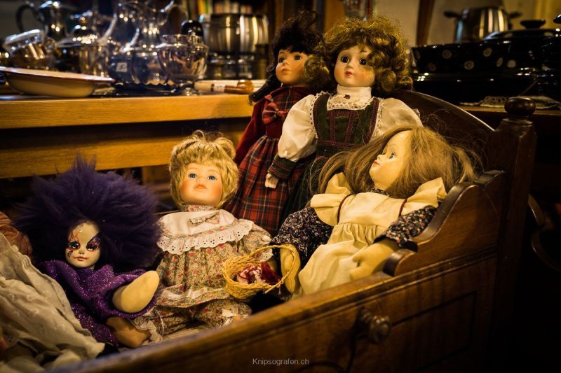 harry_2021_brocki_003