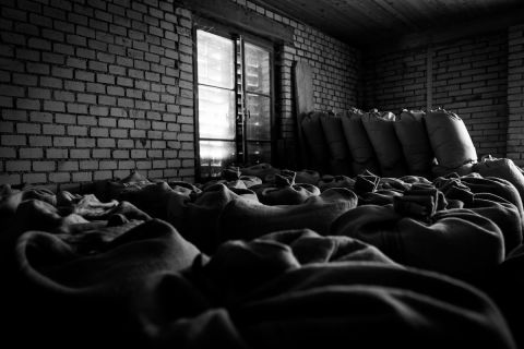 harry_2021_ferrenmuehle_006