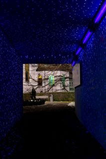 harry_2021_lichterfestival_zuerich_001