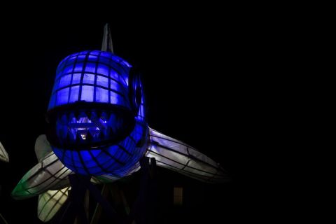 harry_2021_lichterfestival_zuerich_004