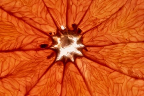 harry_2022_fruechte_004