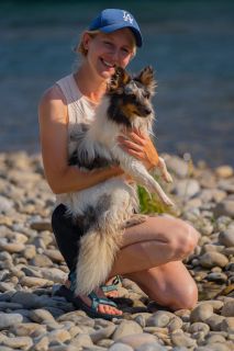 harry_2022_hunde-bachshoot_002