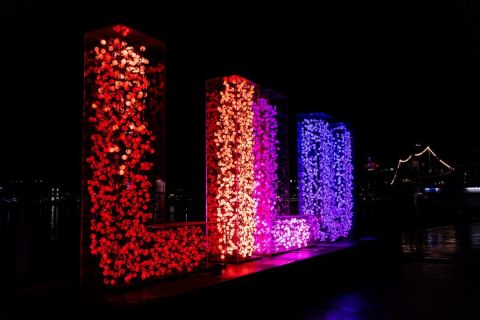 harry_2022_lilu-luzern_001